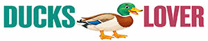 Ducks-Lover-Website-Header-Logo